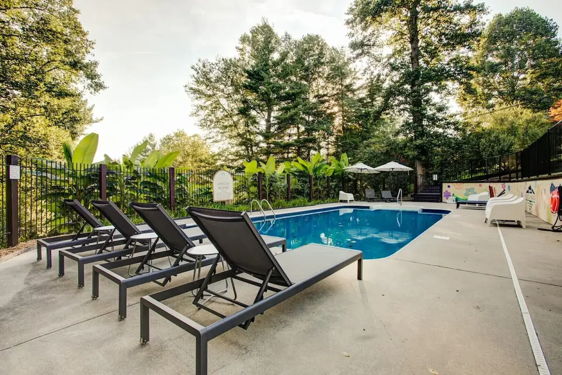Poolside lounge chairs with a swimming pool and lush trees.
