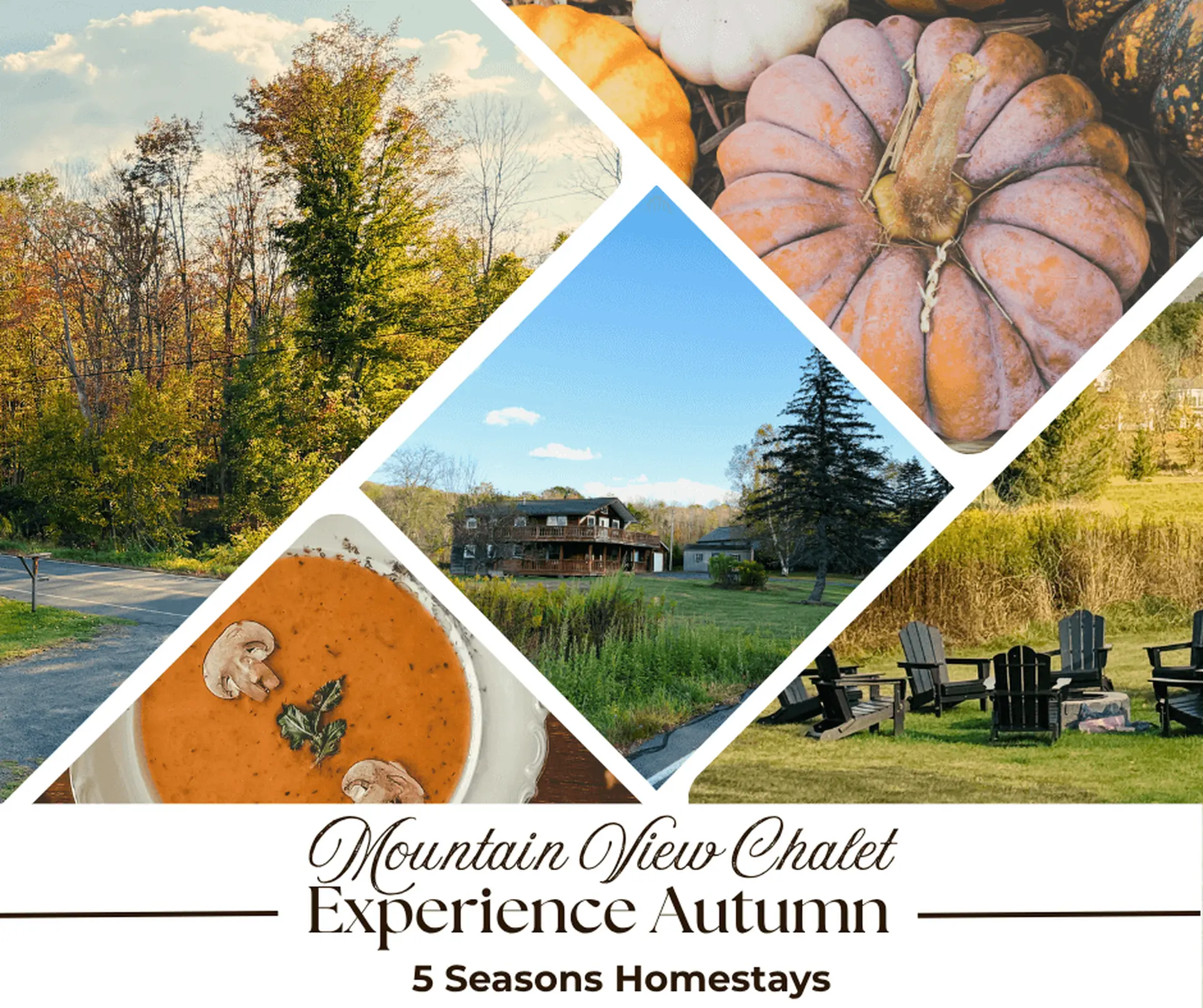 Collage of autumn scenes at Mountain View Chalet, featuring pumpkins, soup, a lodge, and a fire pit.