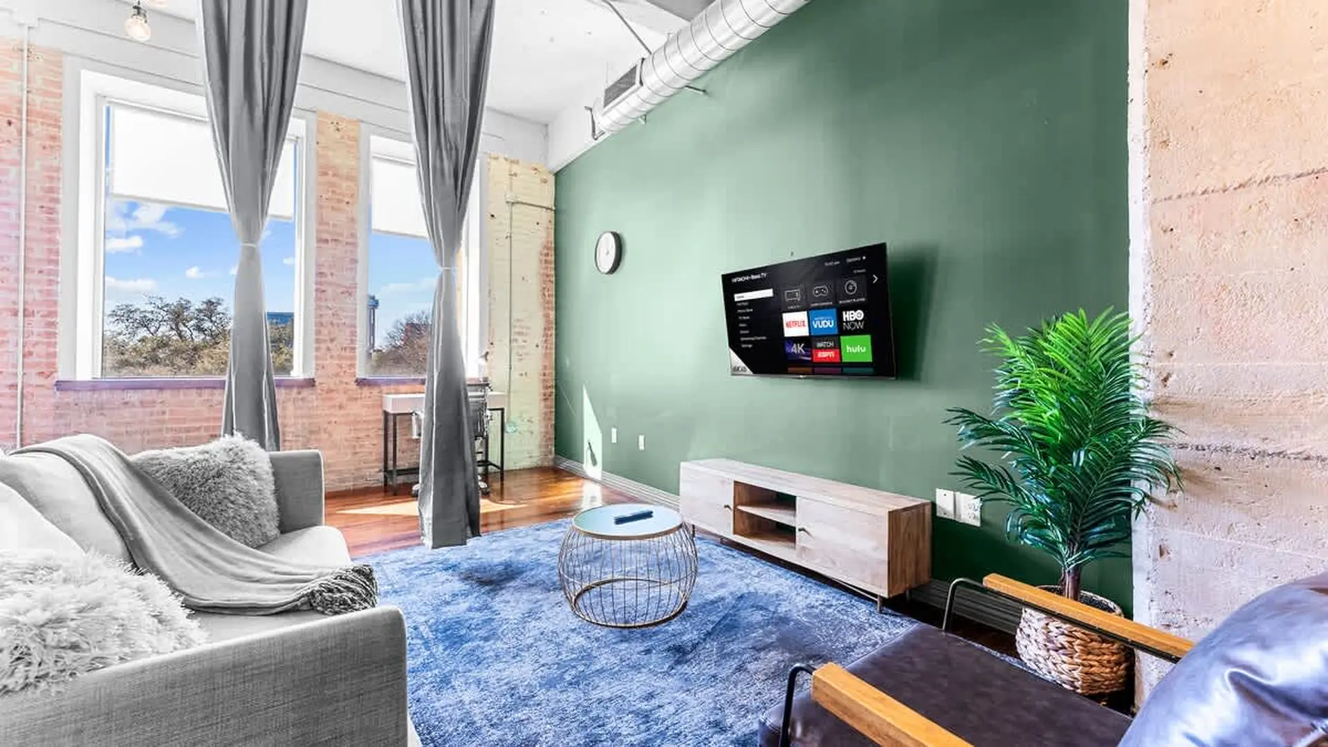 Living room with gray sofa, blue rug, tv, and plant.
