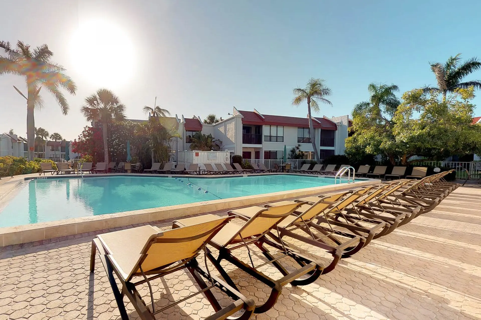 A sunny pool deck with lounge chairs and palm trees.
