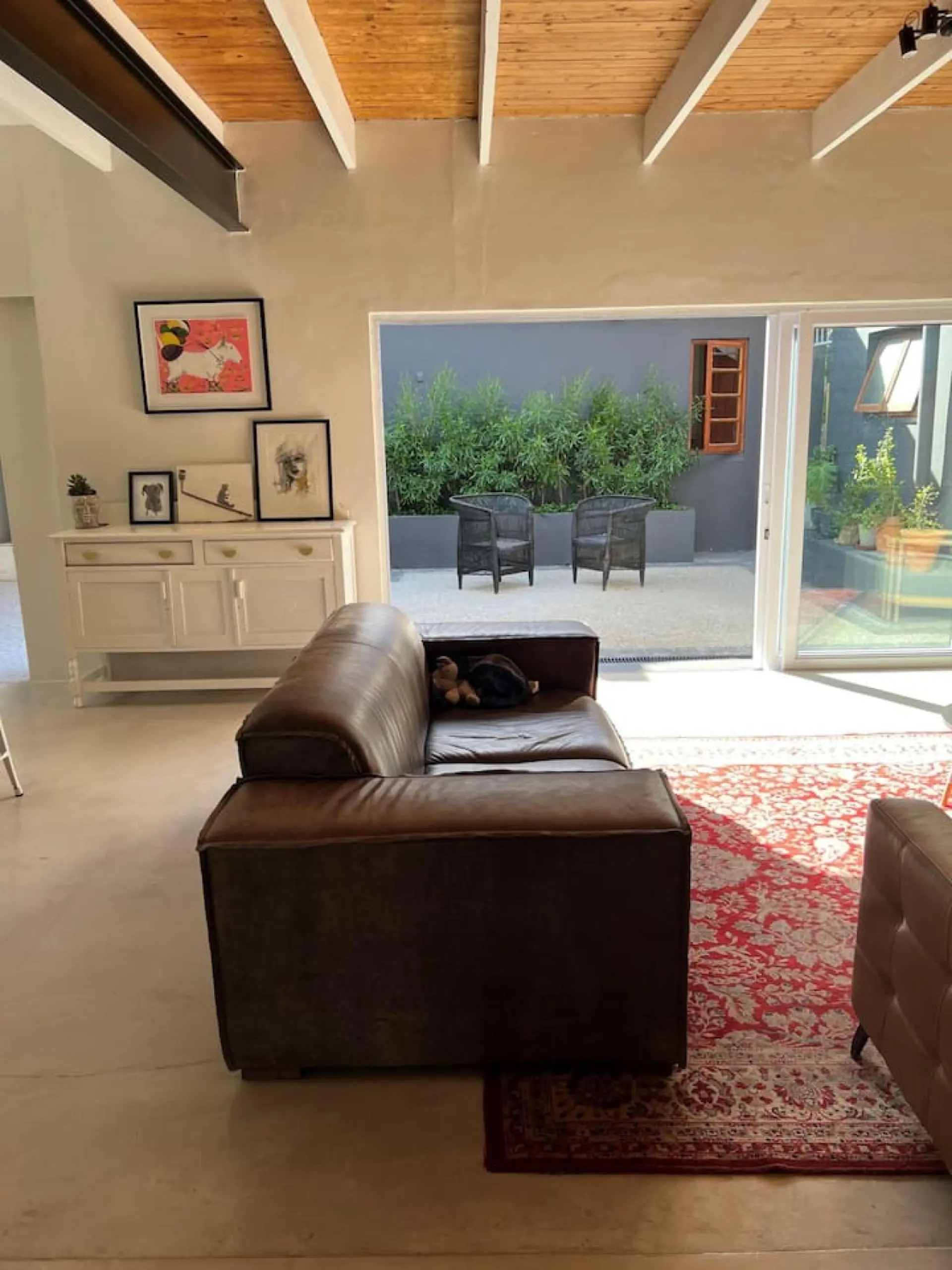 A leather couch sits on a red rug in front of a patio with chairs and greenery.