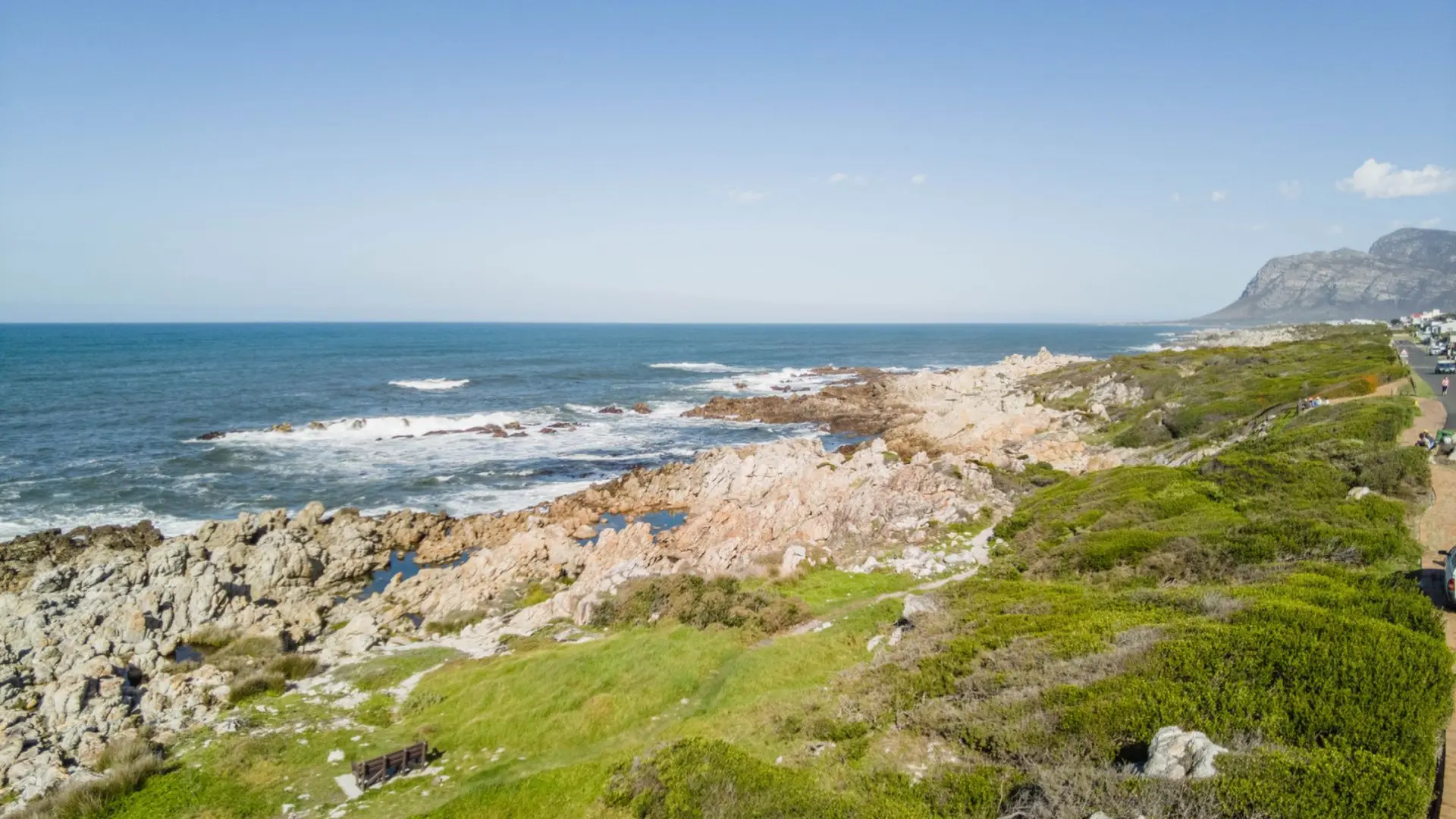 Rocky coastline with ocean waves and green vegetation, a road and mountains in the distance.