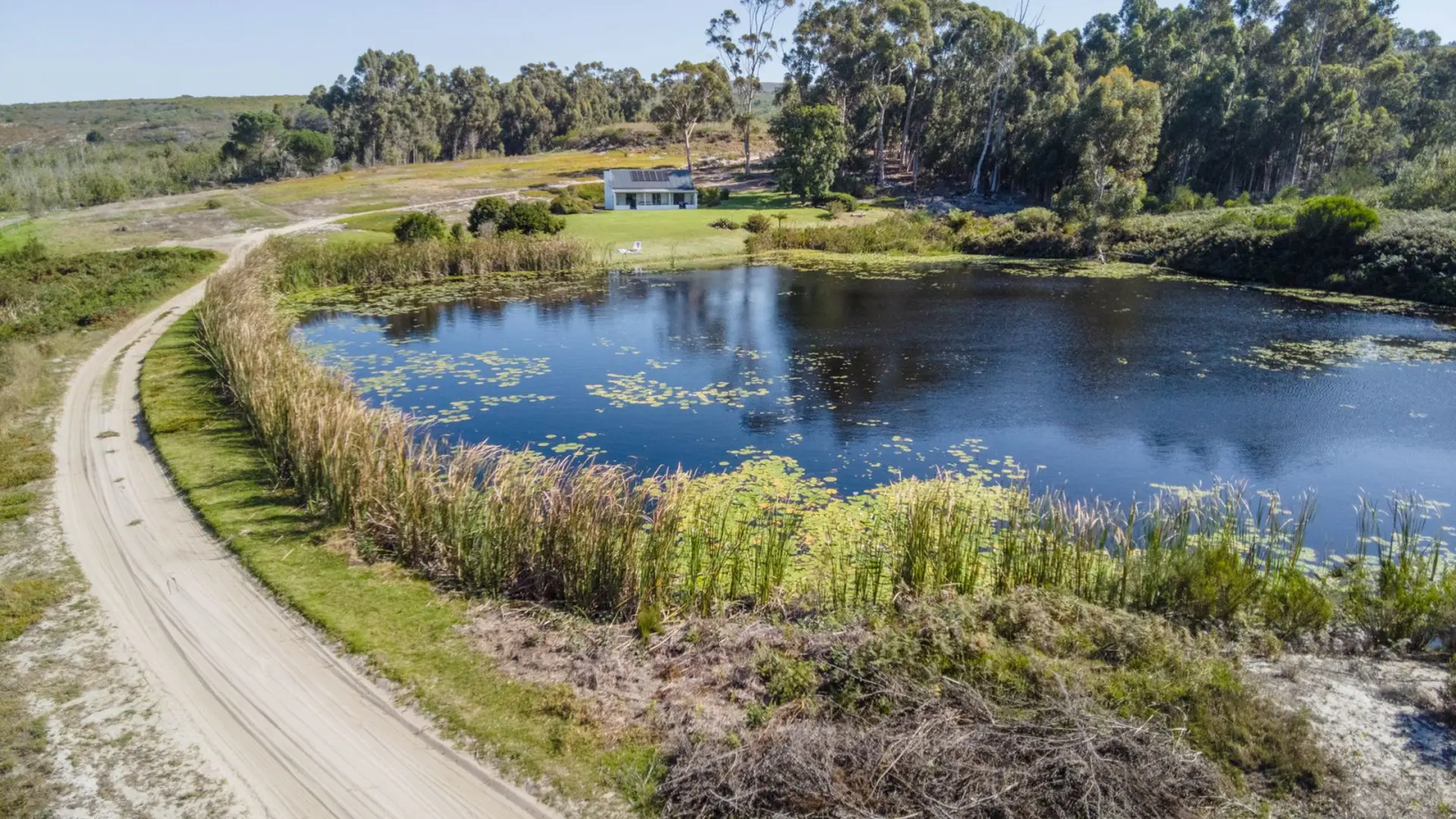 Aerial view of a pond with lily pads and reeds, a dirt road, and a house in the distance.