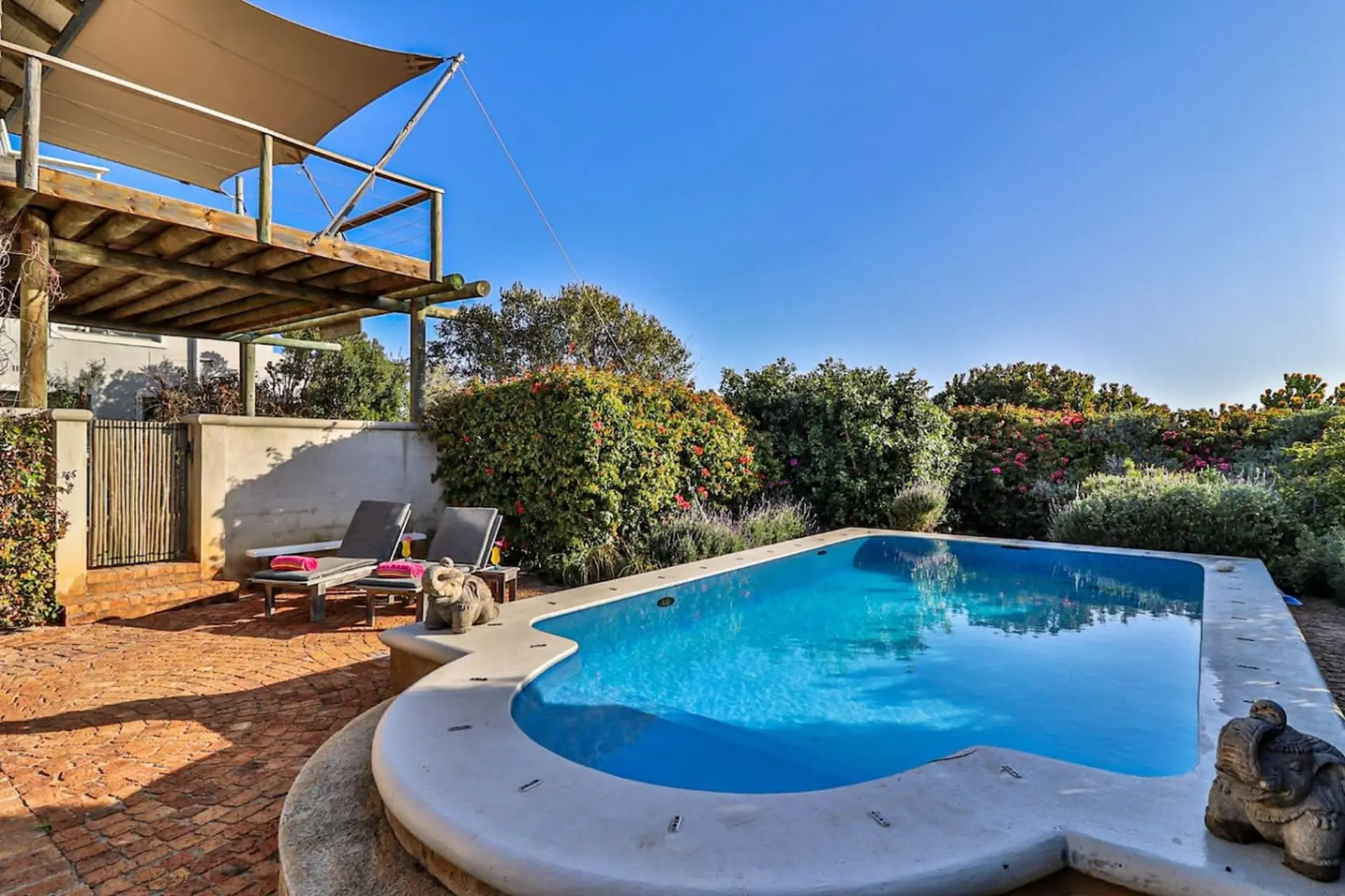 A bright blue swimming pool surrounded by lush greenery and a wooden deck.