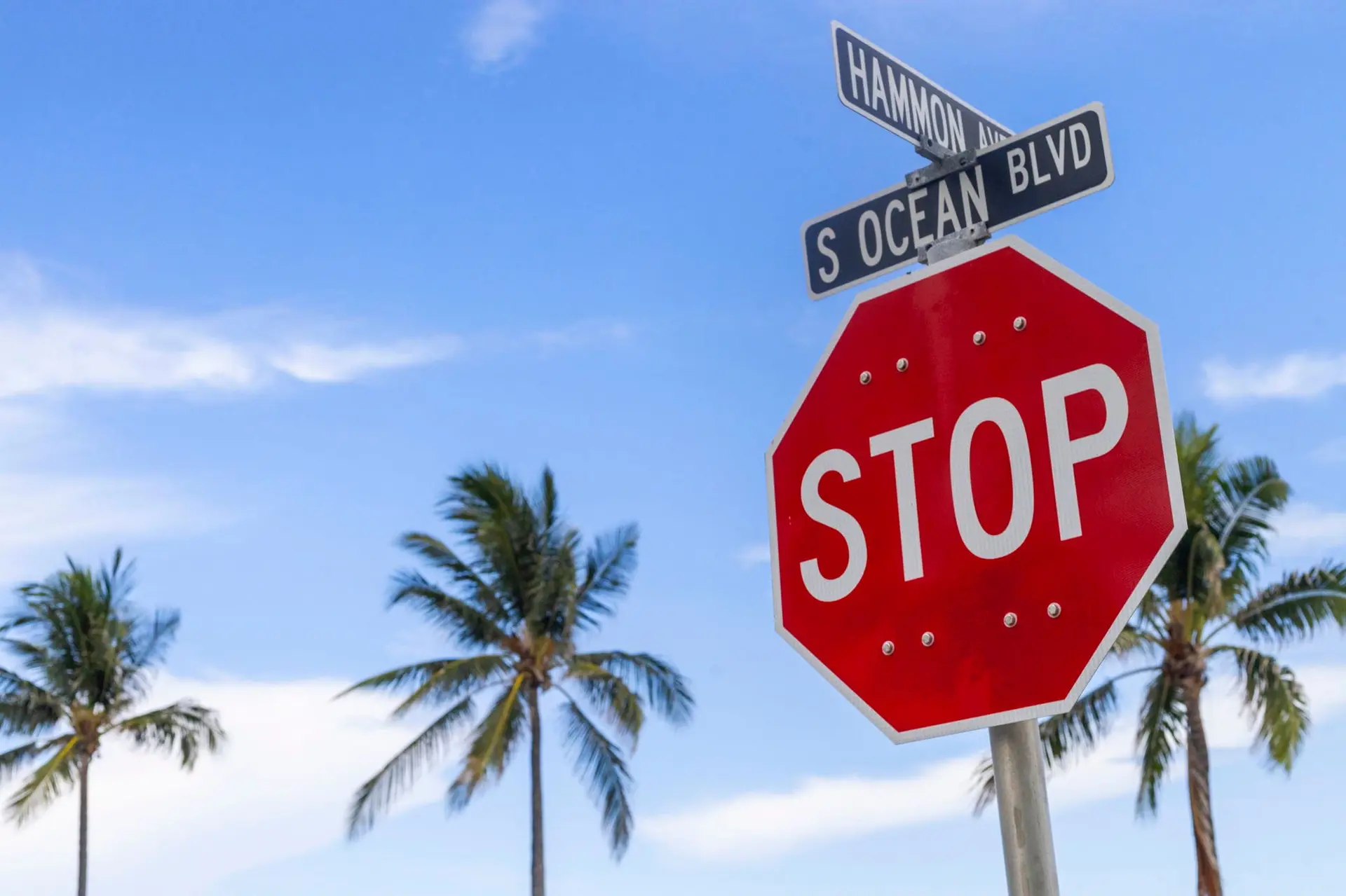 A stop sign with street signs Hammons Ave and S Ocean Blvd, with palm trees and a blue sky.