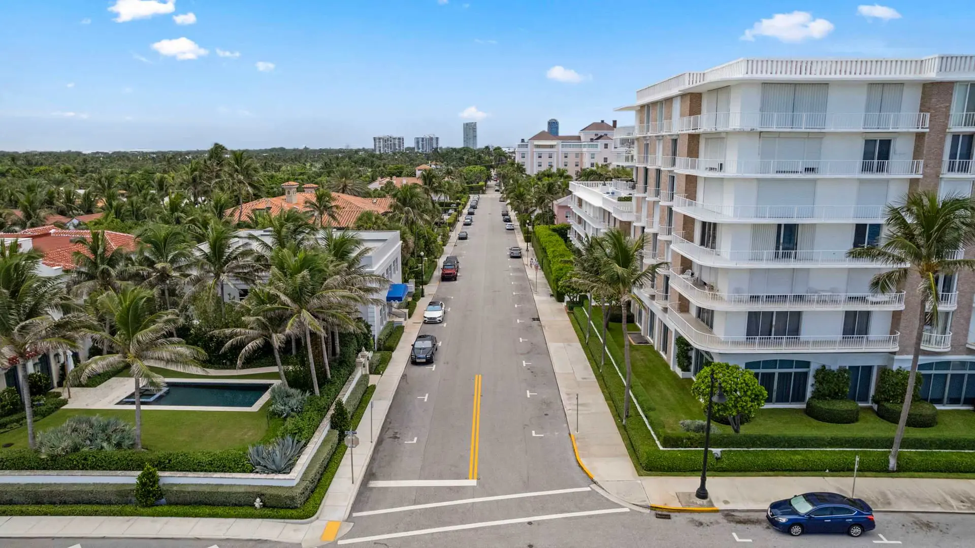 Aerial view of a tree-lined street with modern buildings and palm trees.