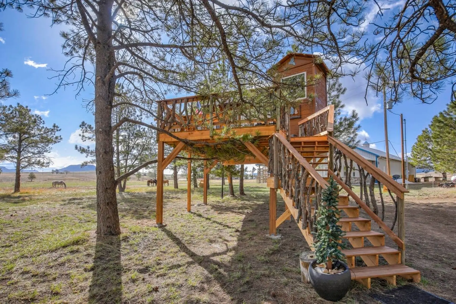 Treehouse Mountain Views Unique Ranch Experience