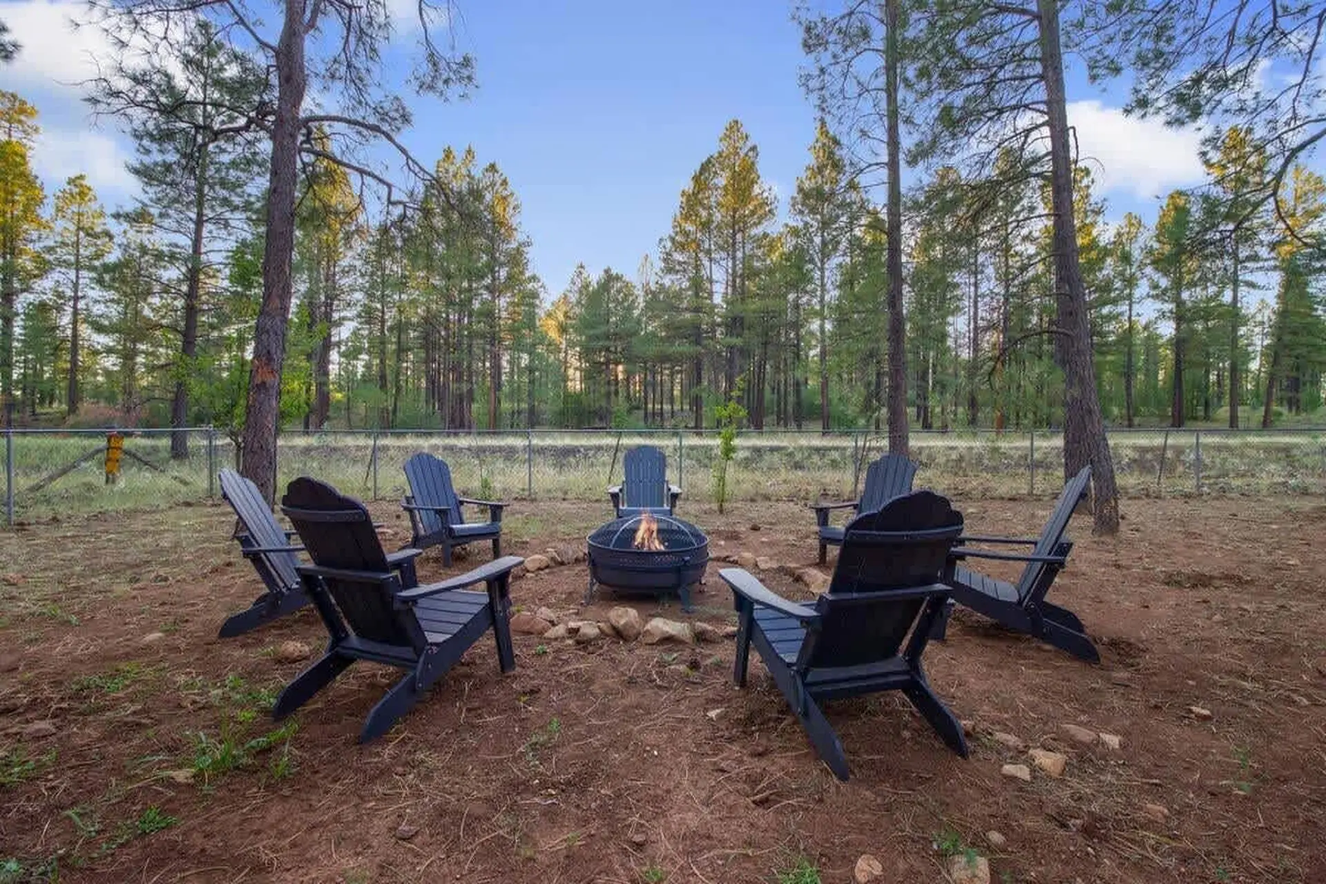 Designer Cabin | Forest View Close to Downtown