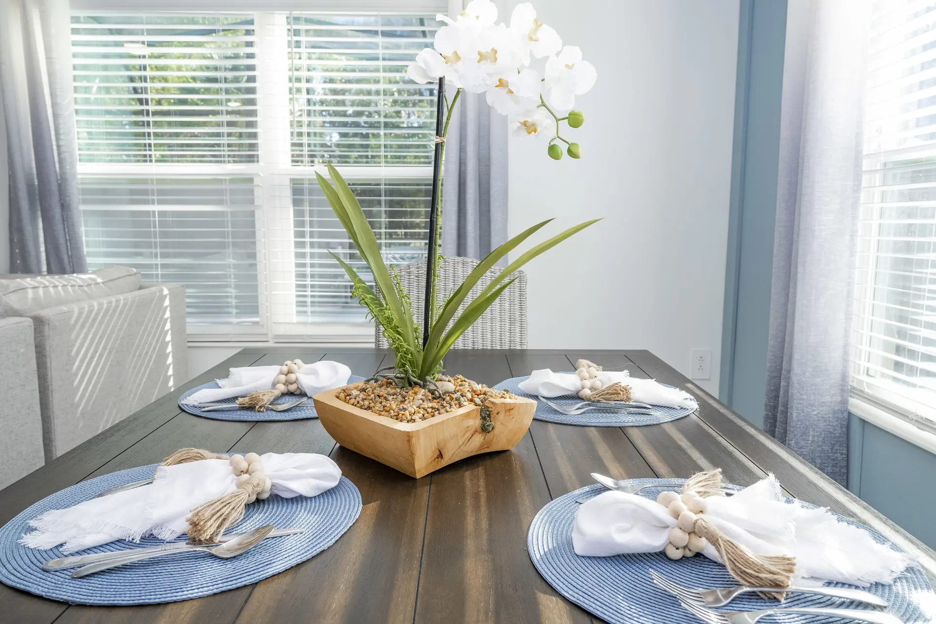 plant on a table