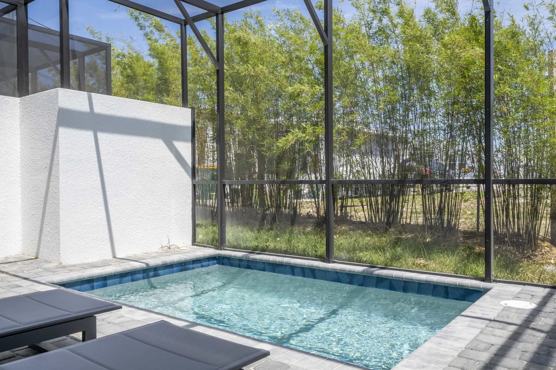 Swimming Pool in a Property