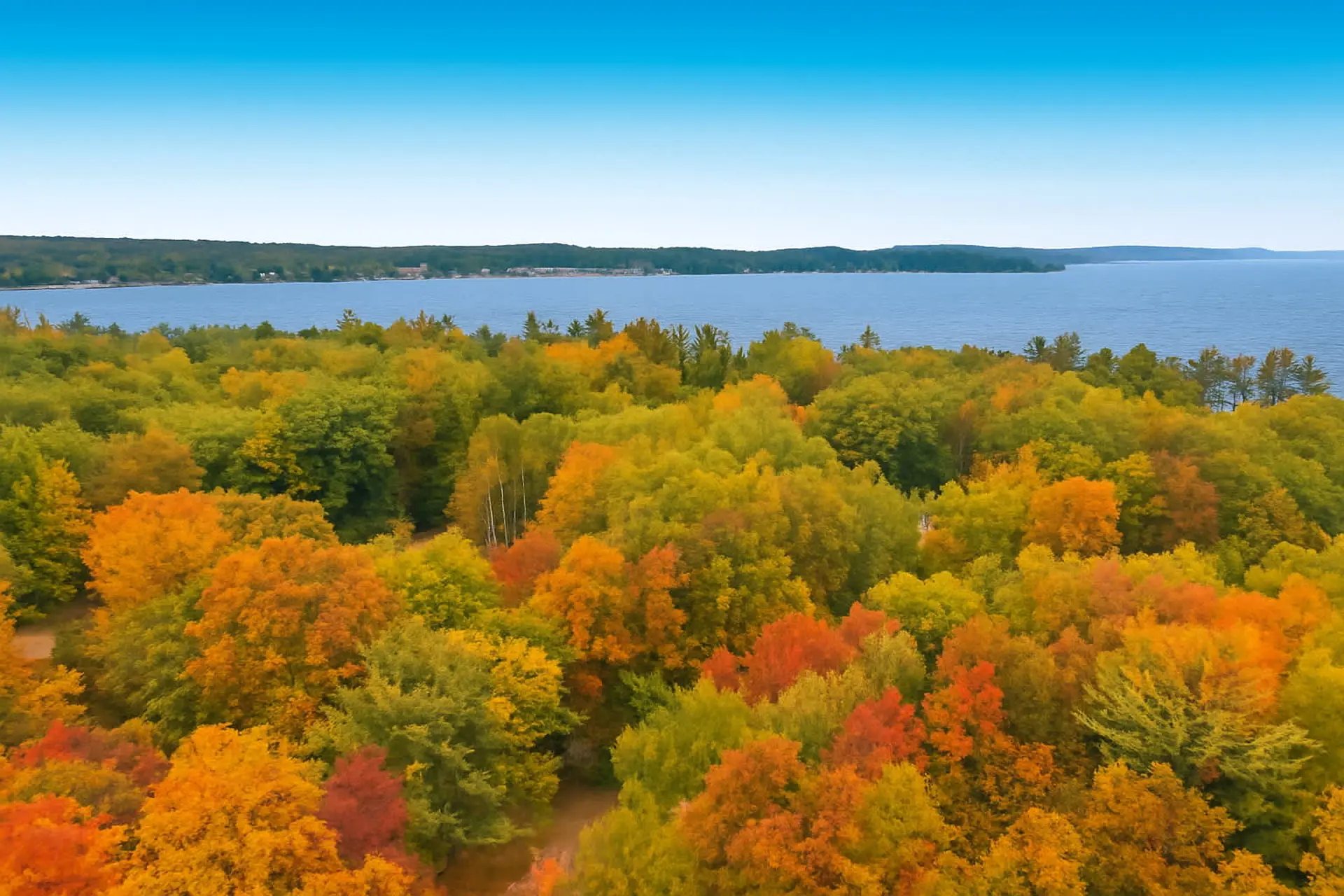 Autumn trees in vibrant colors meet a serene blue lake under a clear sky.
