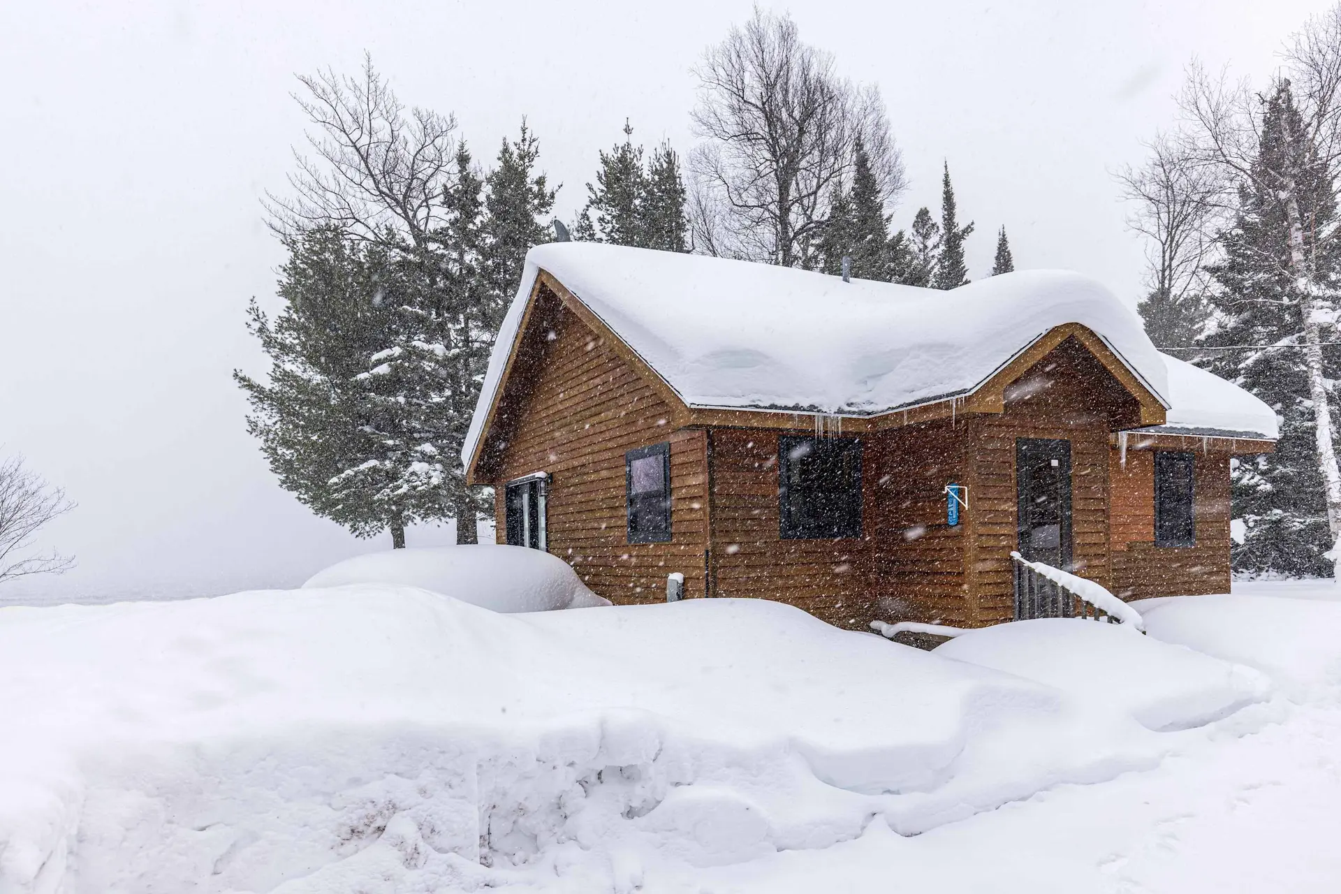 New Cabin|Snowmobiling ORV |Stunning Views