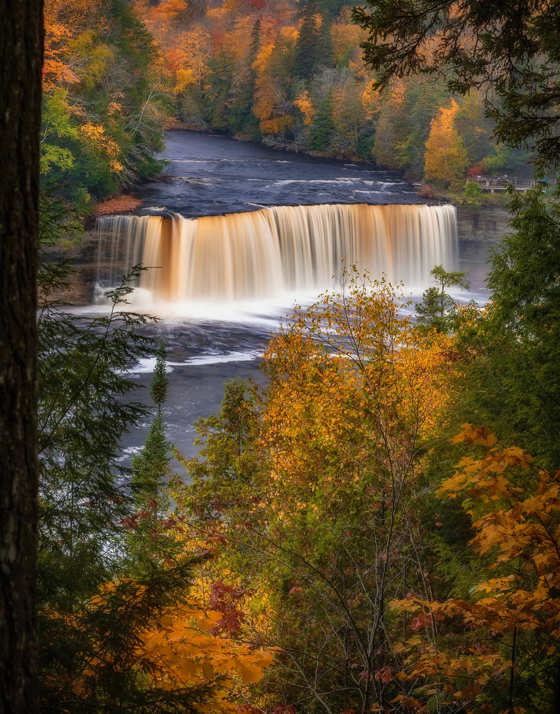 Waterfall surrounded by vibrant fall foliage, framed by dark tree trunks.