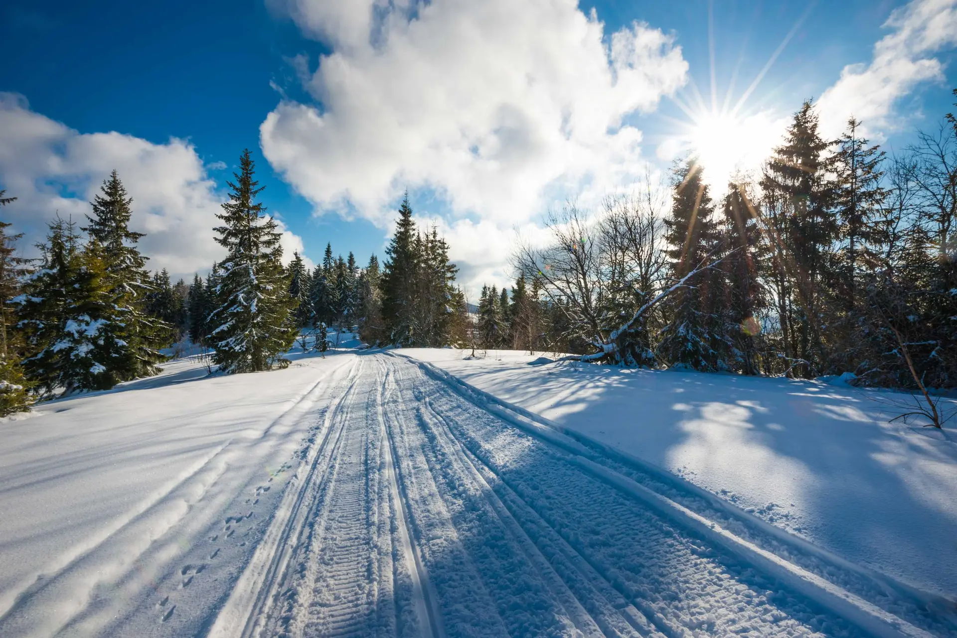 Snowmobile-Friendly | Winter Lake Cabin Retreat