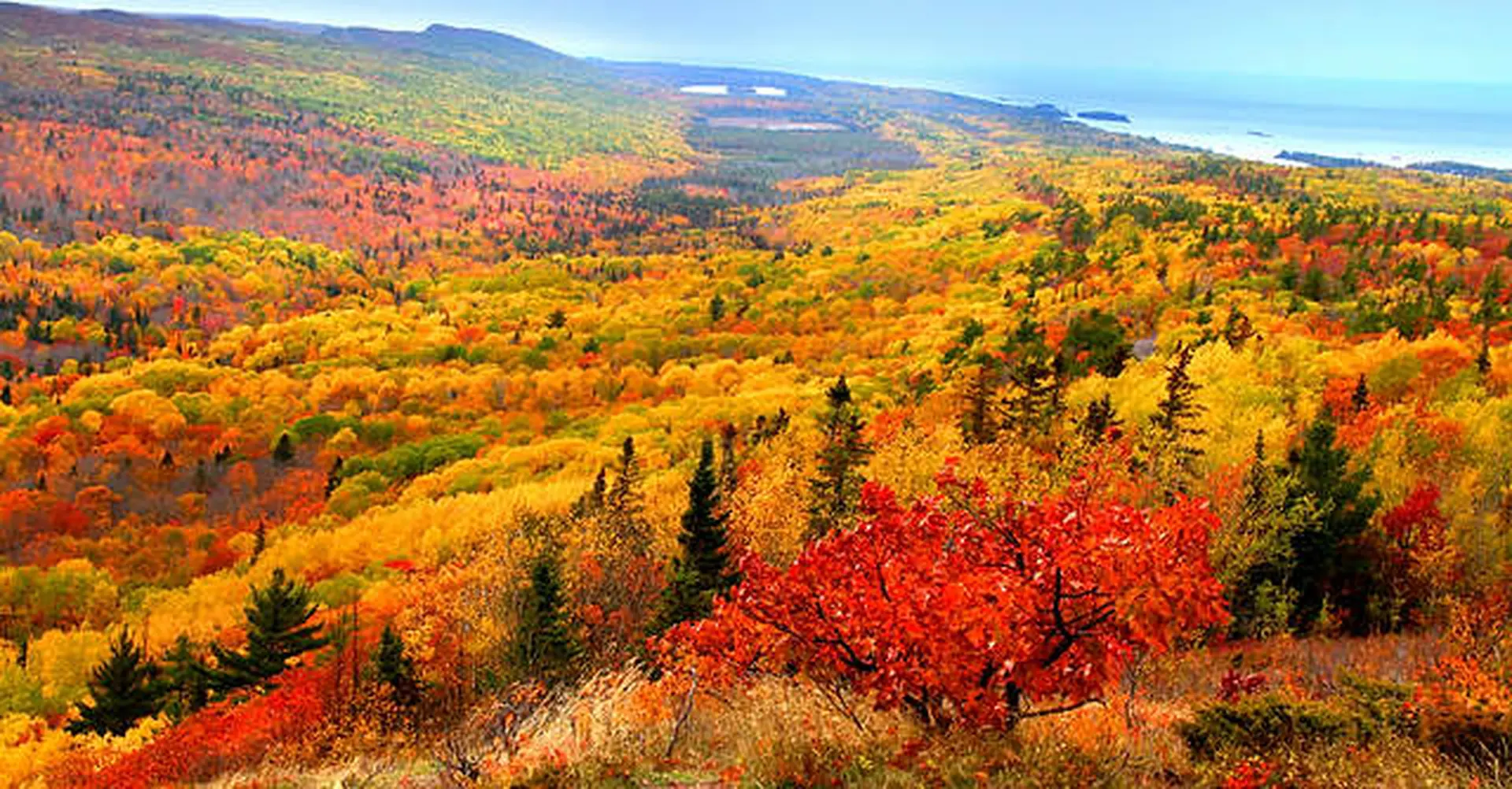 Vibrant autumn forest with hills of yellow, orange, and red leaves leading to a blue lake.