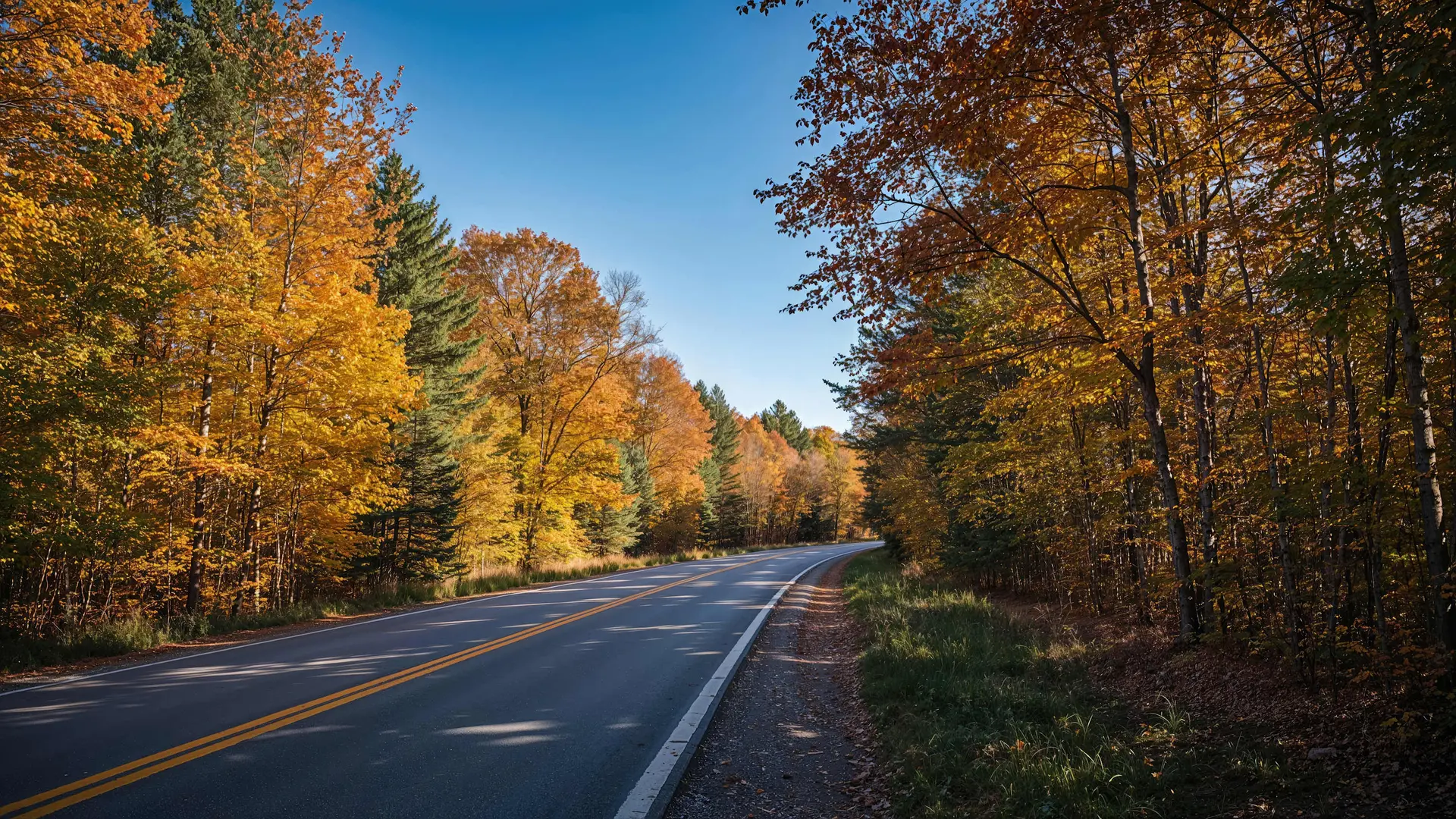 Road through autumnal trees under a clear blue sky.