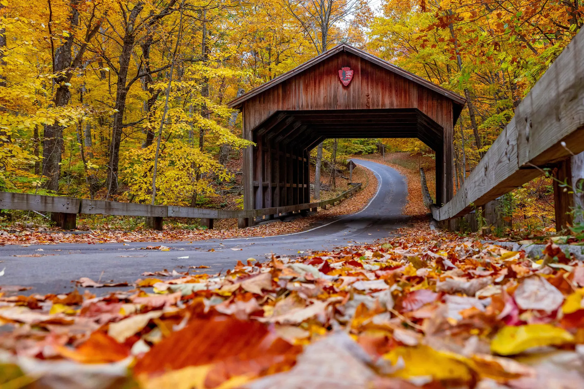 A wooden covered bridge arches over a winding road in a forest ablaze with autumn colors.