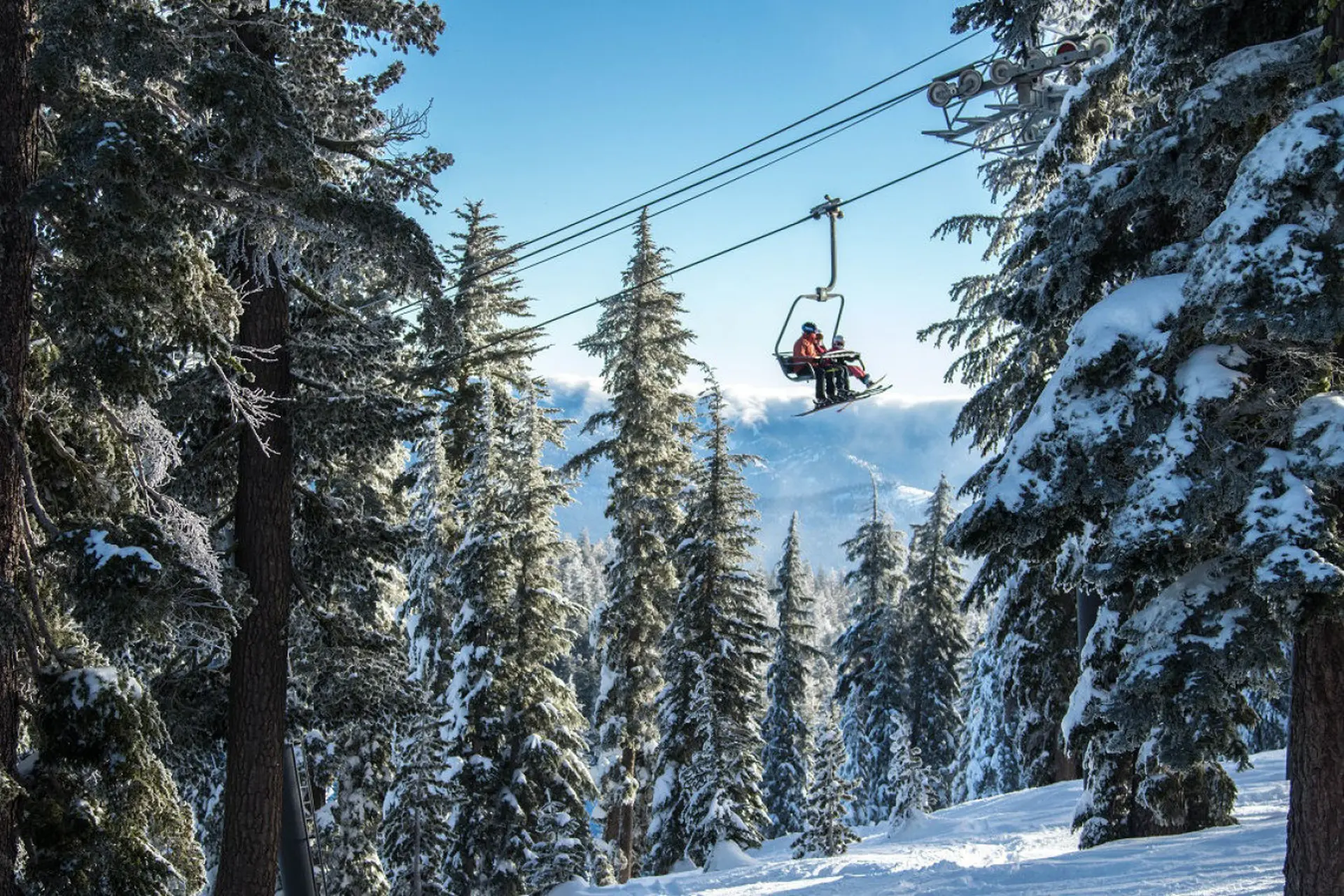 A ski lift carries two skiers over a snow-covered forest under a clear blue sky.