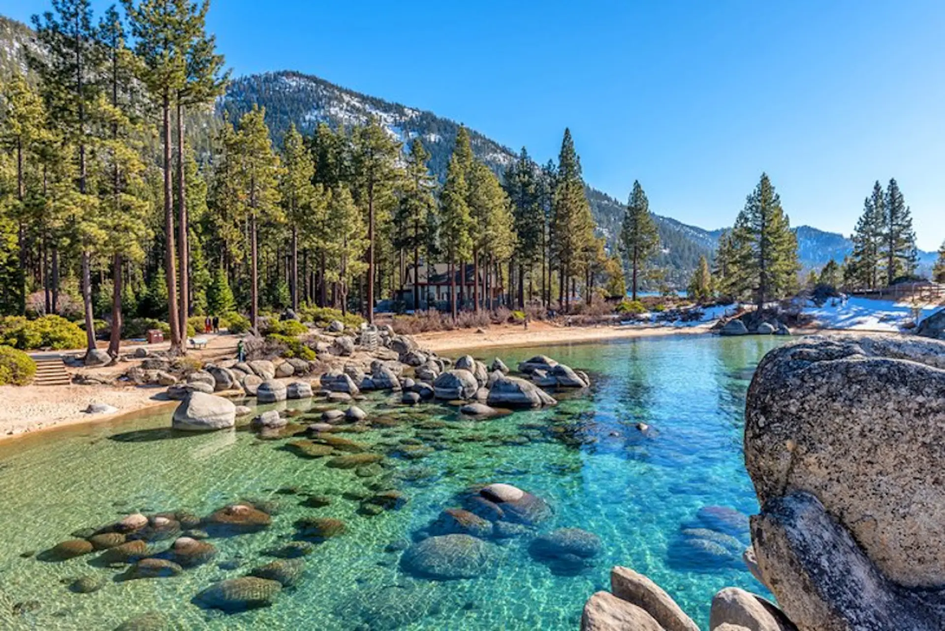 Clear turquoise water with rocks and trees at Lake Tahoe, Nevada.