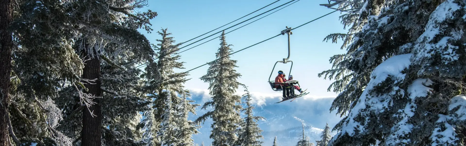Two skiers ride a chairlift through snow-covered trees against a bright blue sky.
