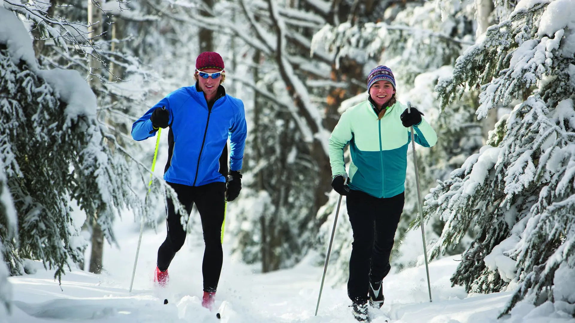 Two people cross-country skiing in a snowy forest.