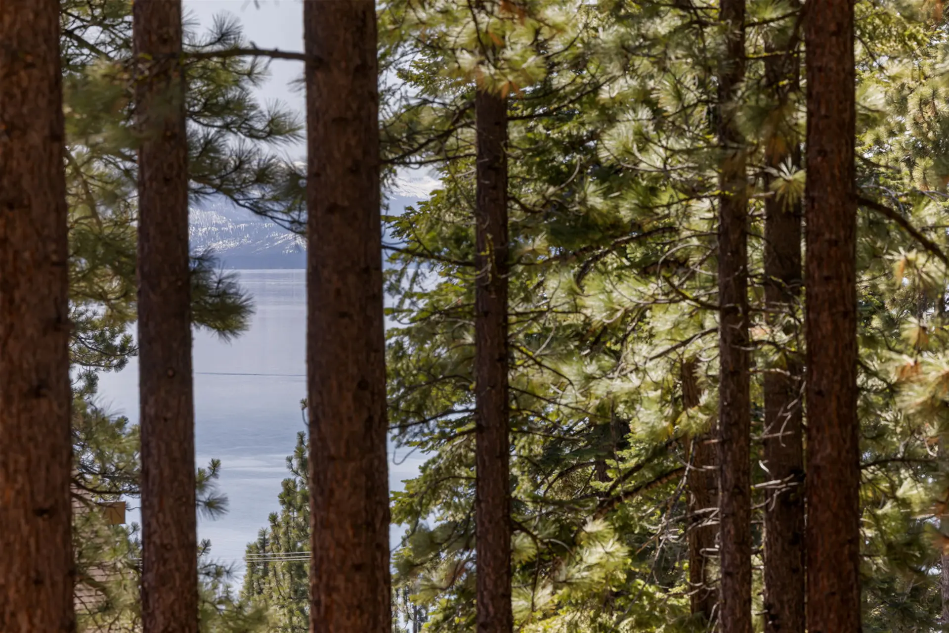 Renovated Cozy Cabin Lake View Deck A+ Location
