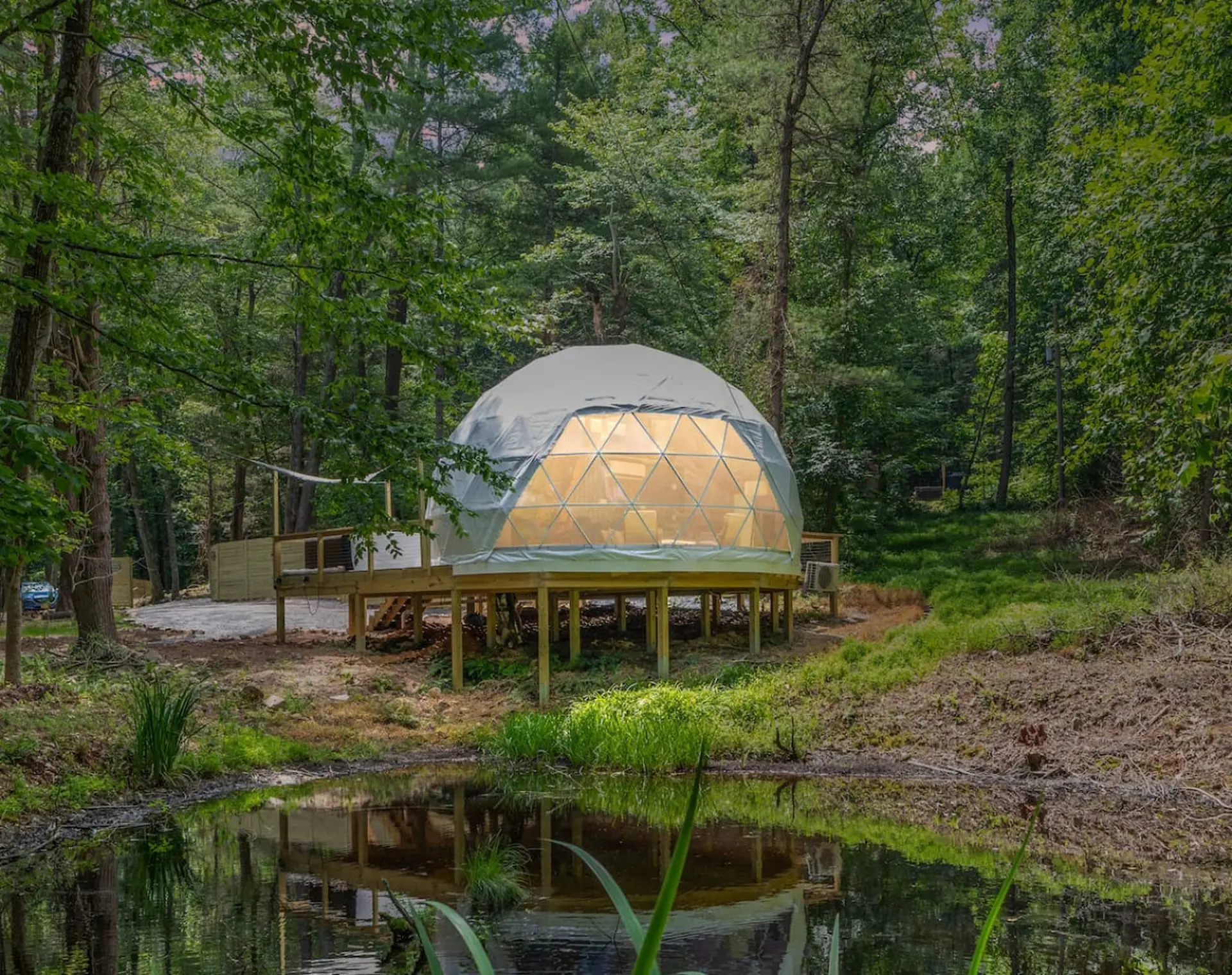 A glamping dome shown in greenery