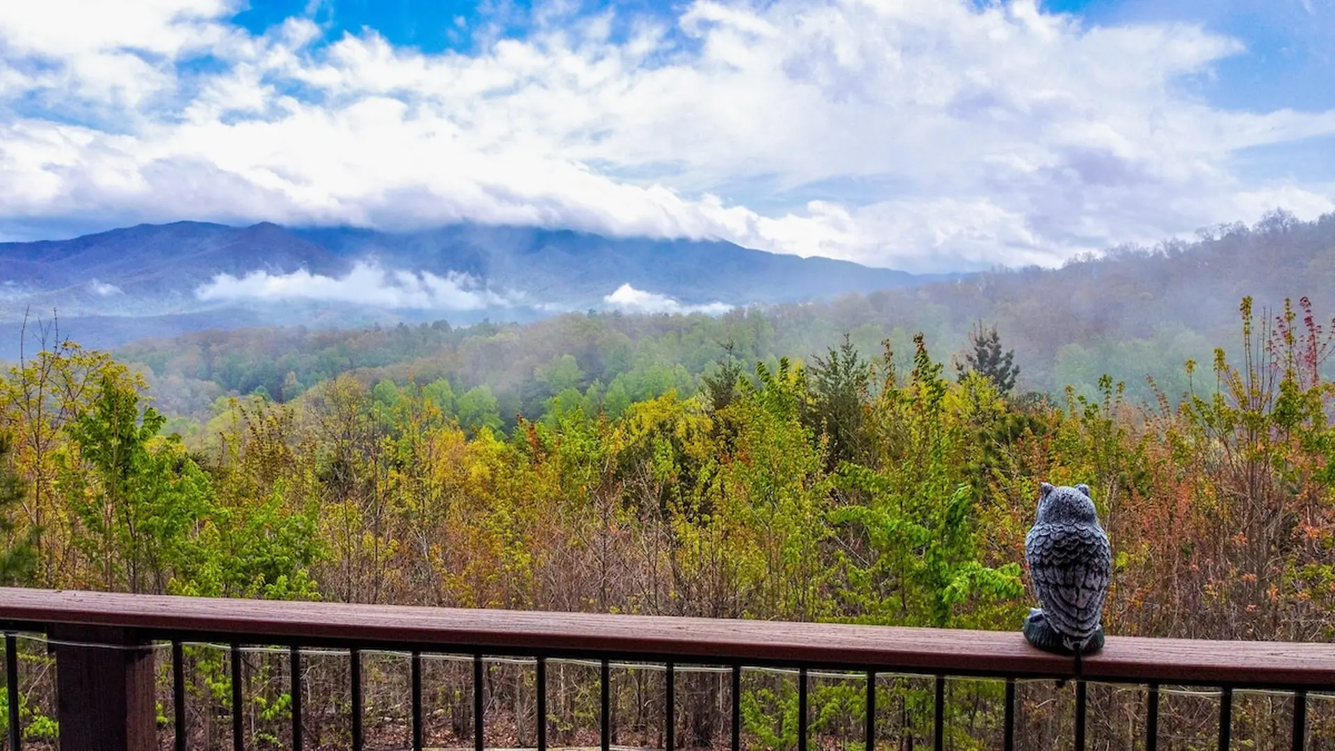 Majestic Mountain View - Direct Mount LeConte View