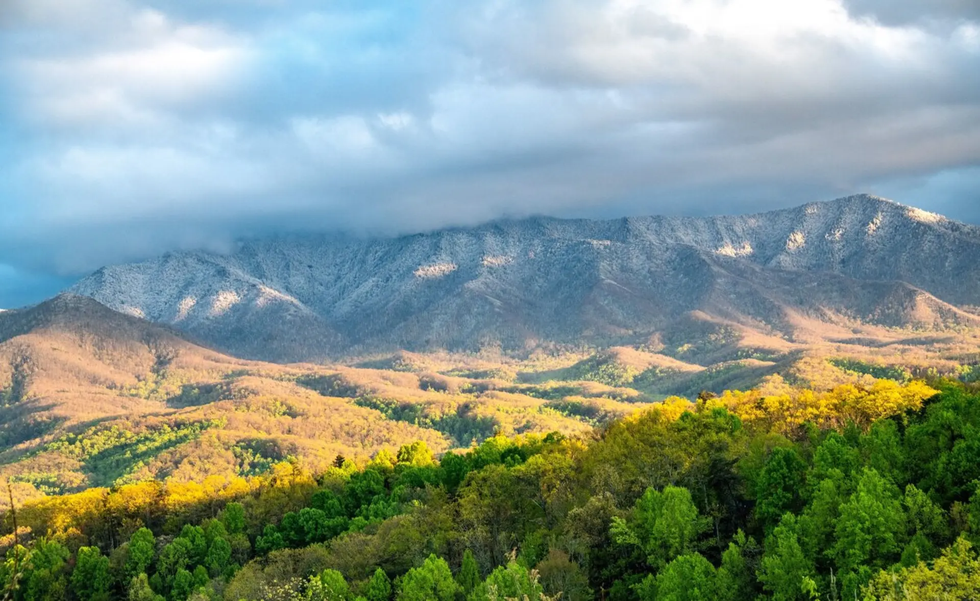Majestic Mountain View - Direct Mount LeConte View