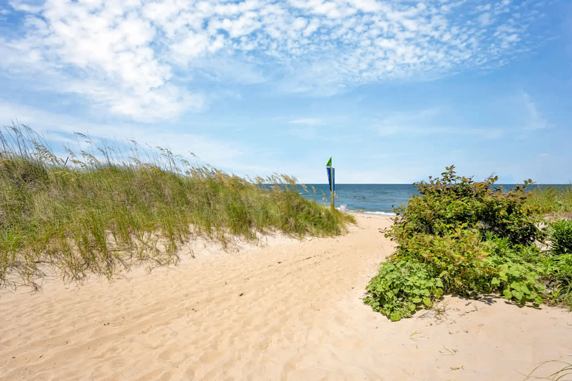 Sandy path leads through dunes with tall grass to the ocean, blue sky overhead.