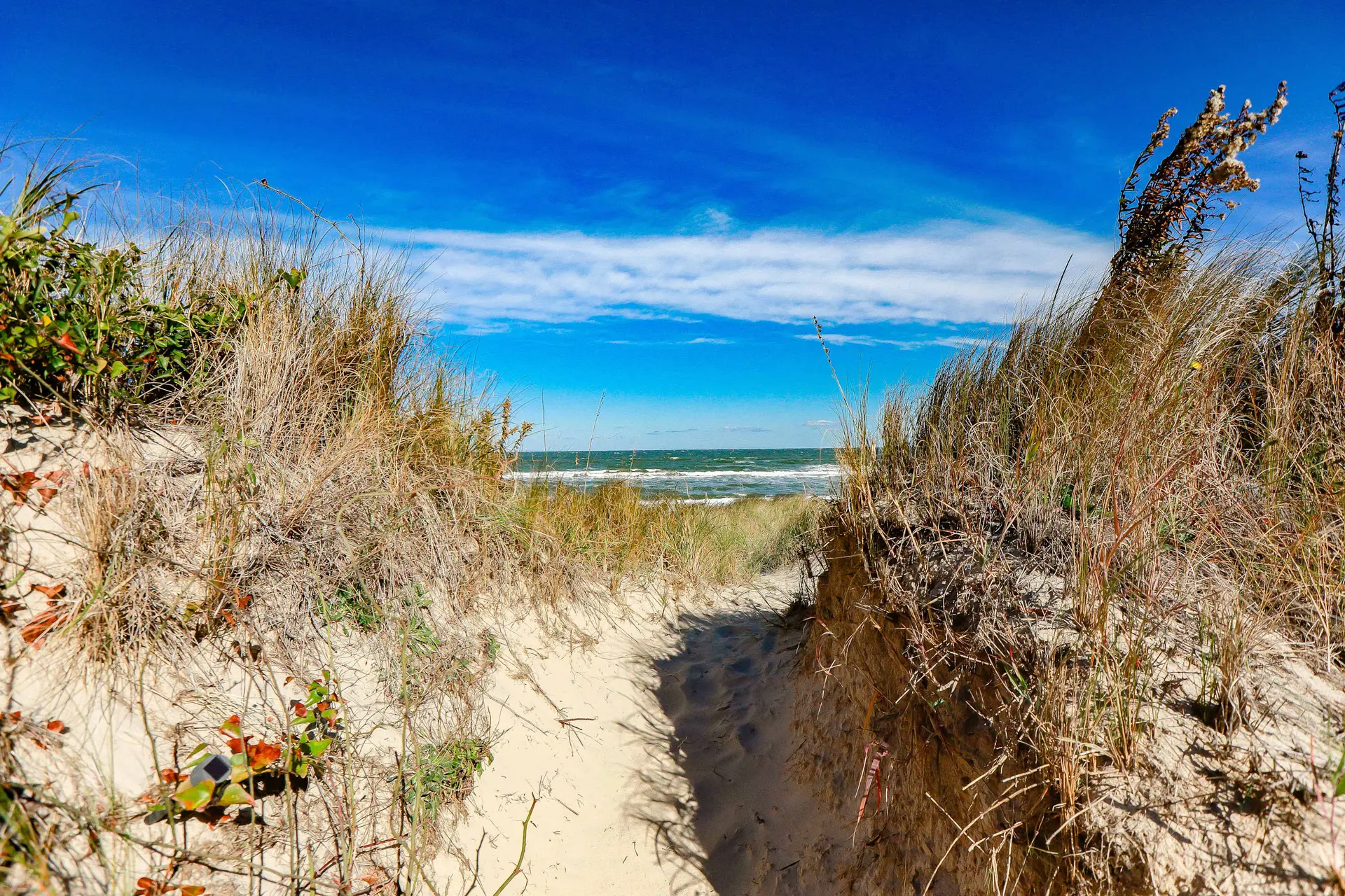 Sojourn 2 BR Beach Side Home with Ocean Views