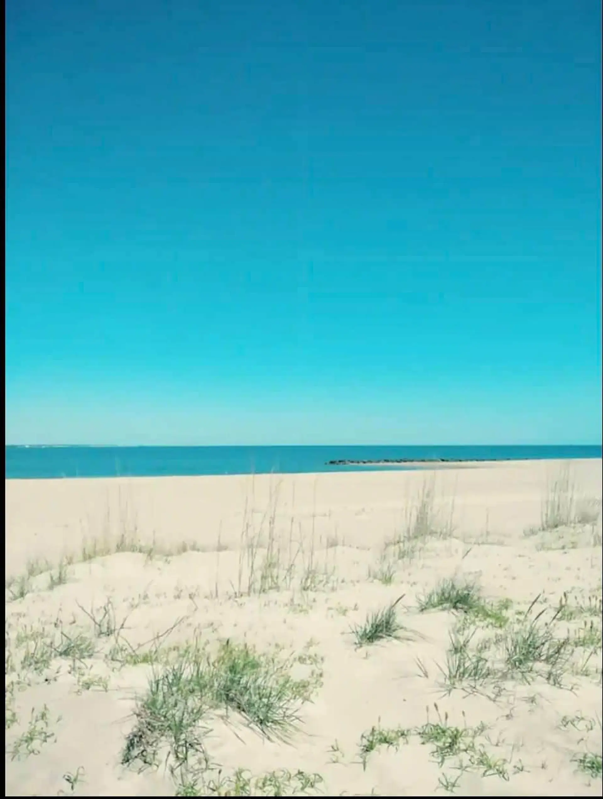 Sojourn | Ocean Hideaway 2 BR | Pets Welcome