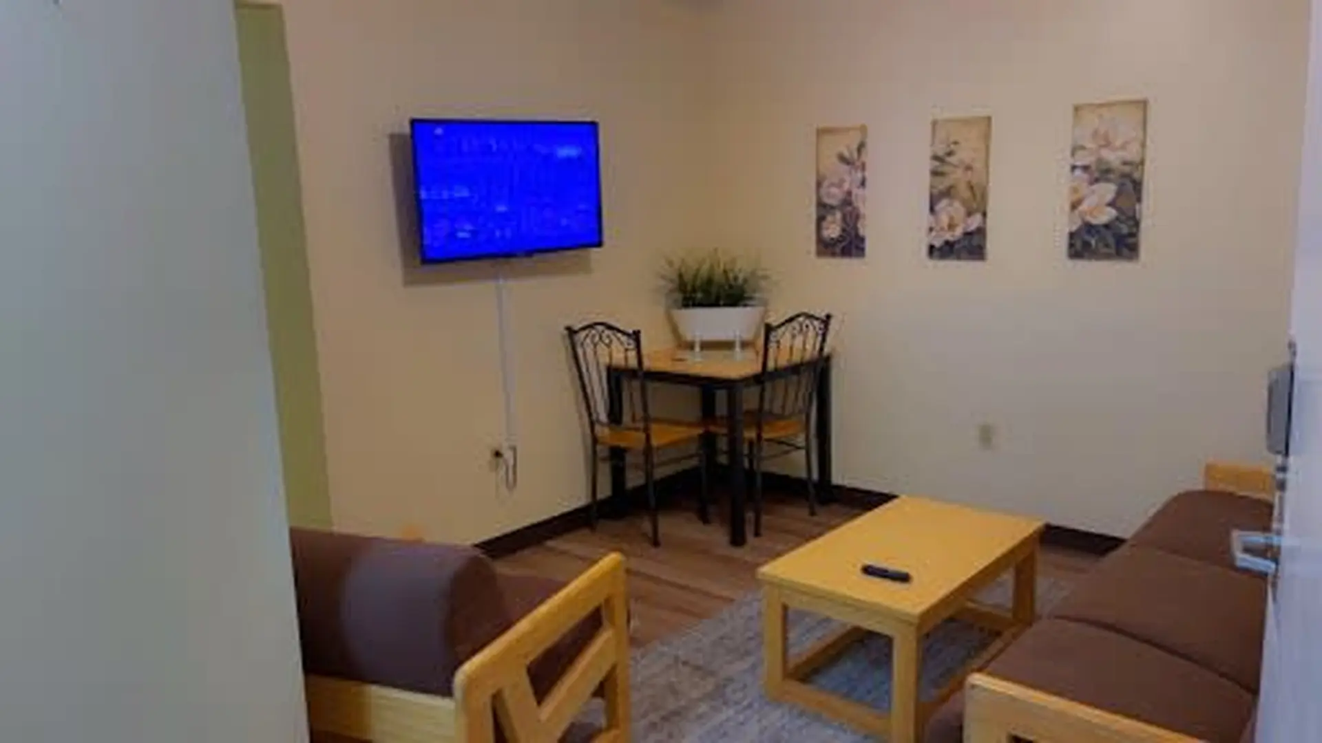 A small living room with a TV, dining table, and sofa.