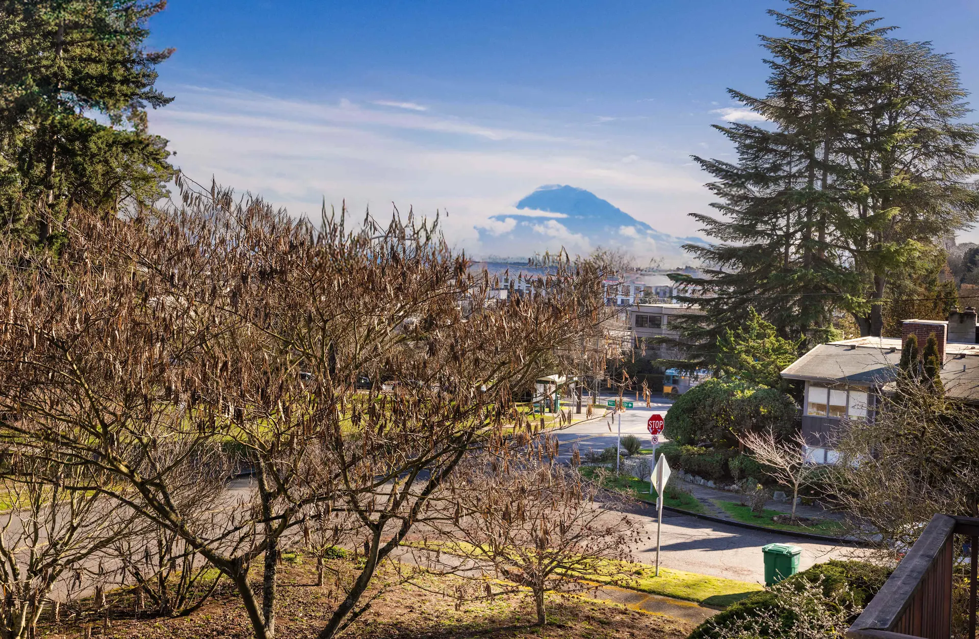 Sunny Seattle Home: Mt. Rainier + UW Steps Away!