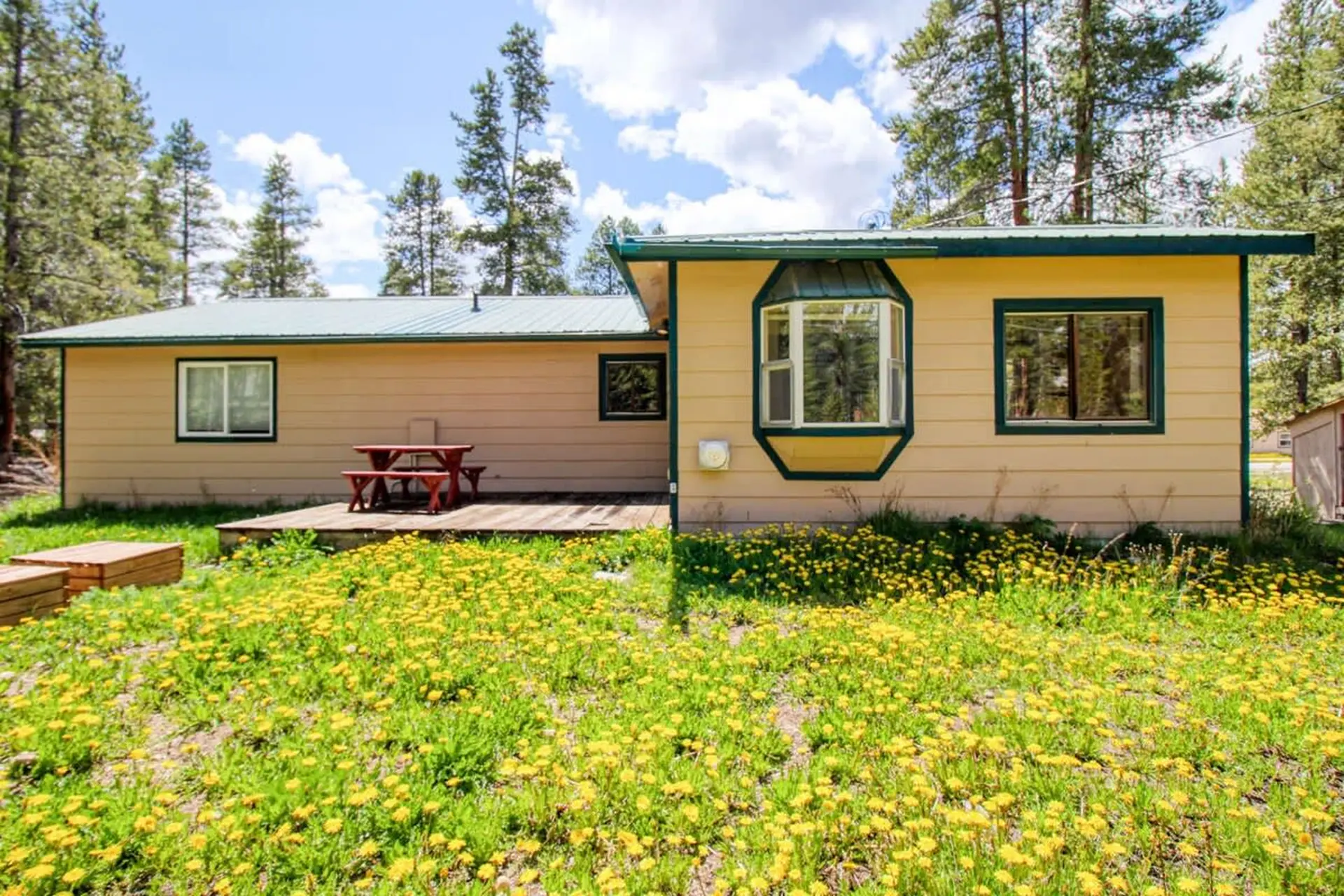 3BR Cozy Cabin - Tranquil Forest - Pet Friendly