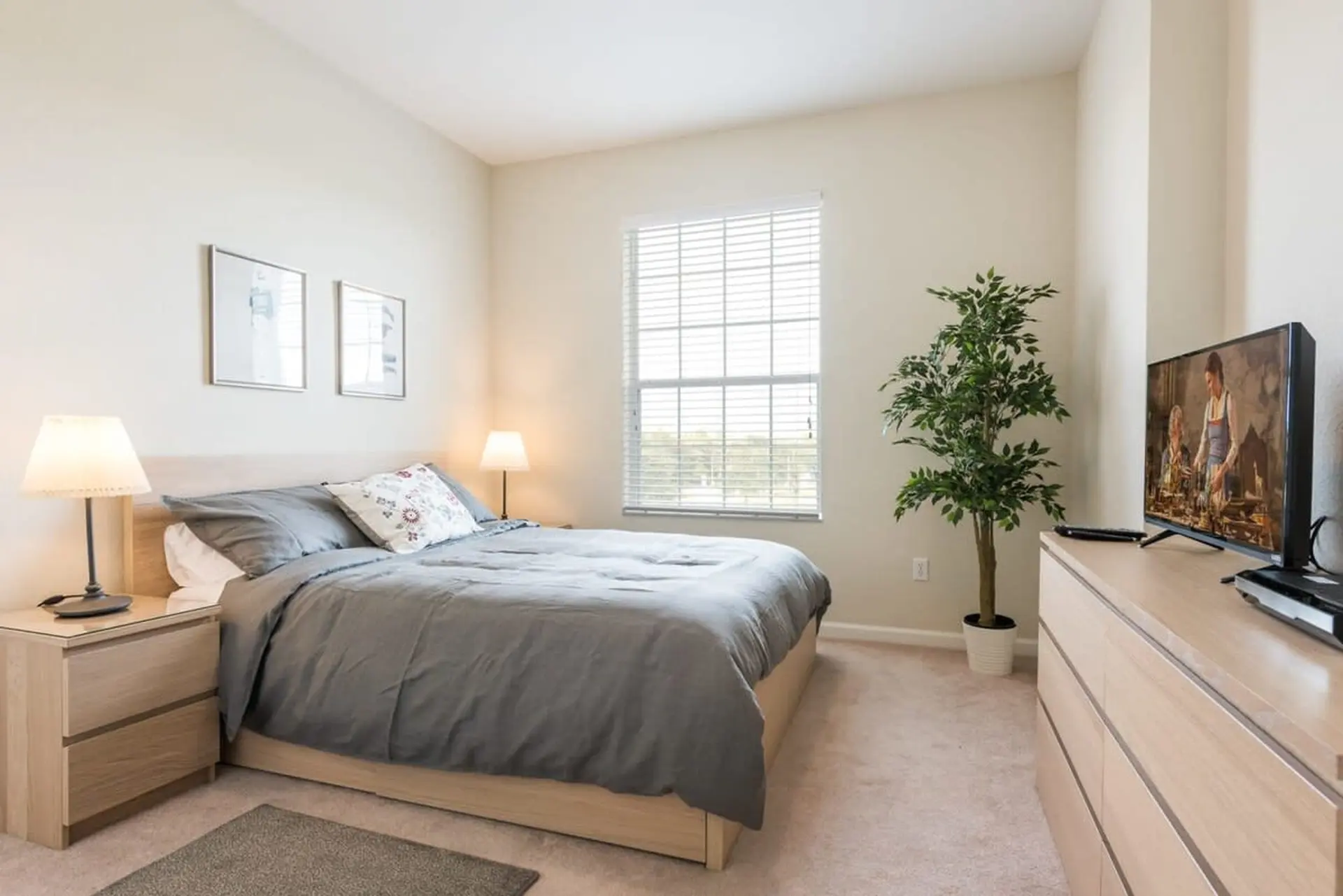 A bedroom with a bed, dresser, TV, and a plant.