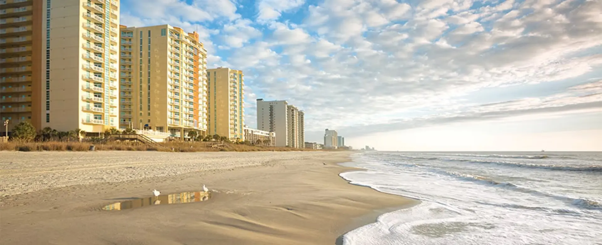 Beautiful Hotel in Ocean Boulevard 1BD near Duplin Winery