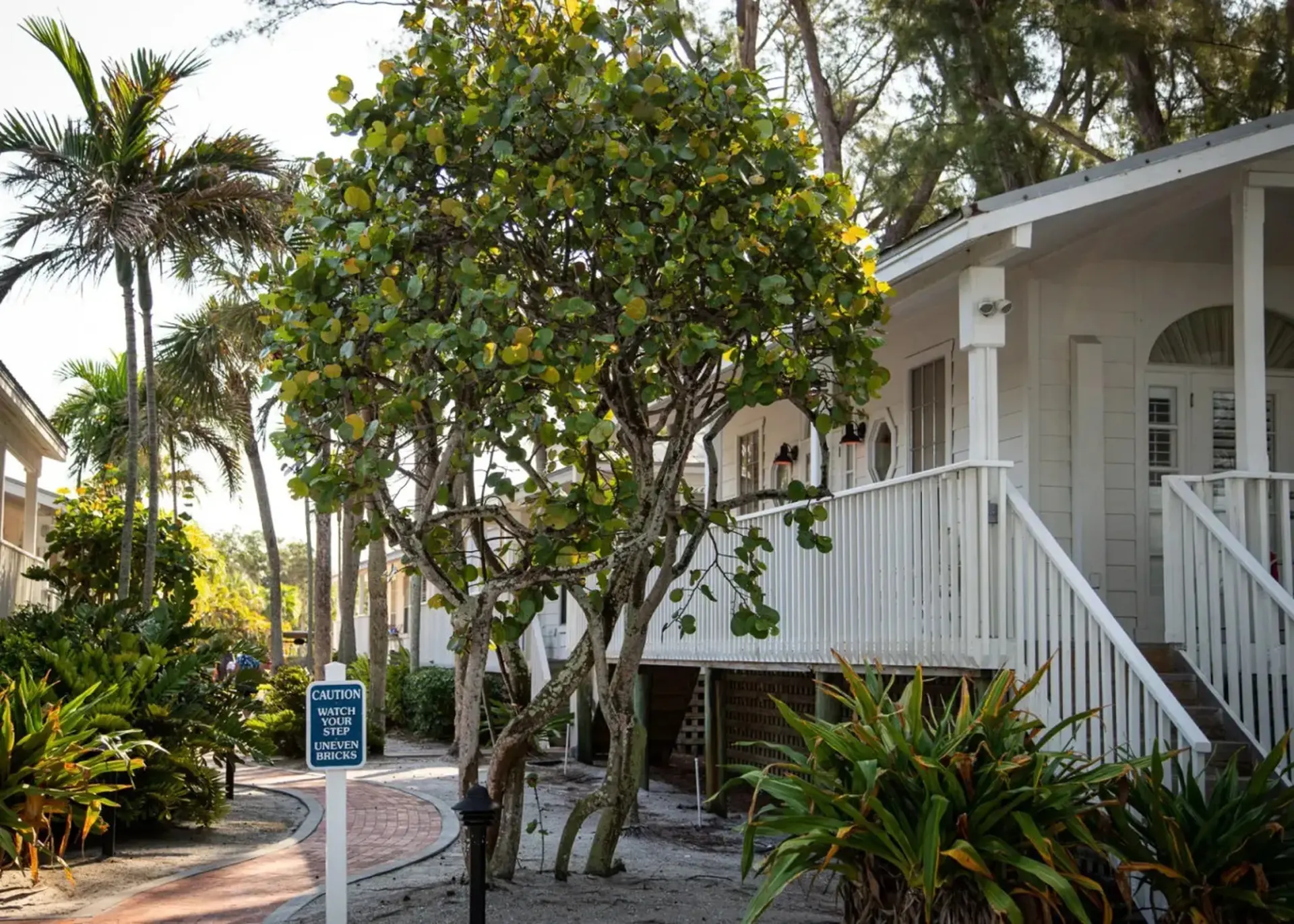 Little Gull Cottage 1BD