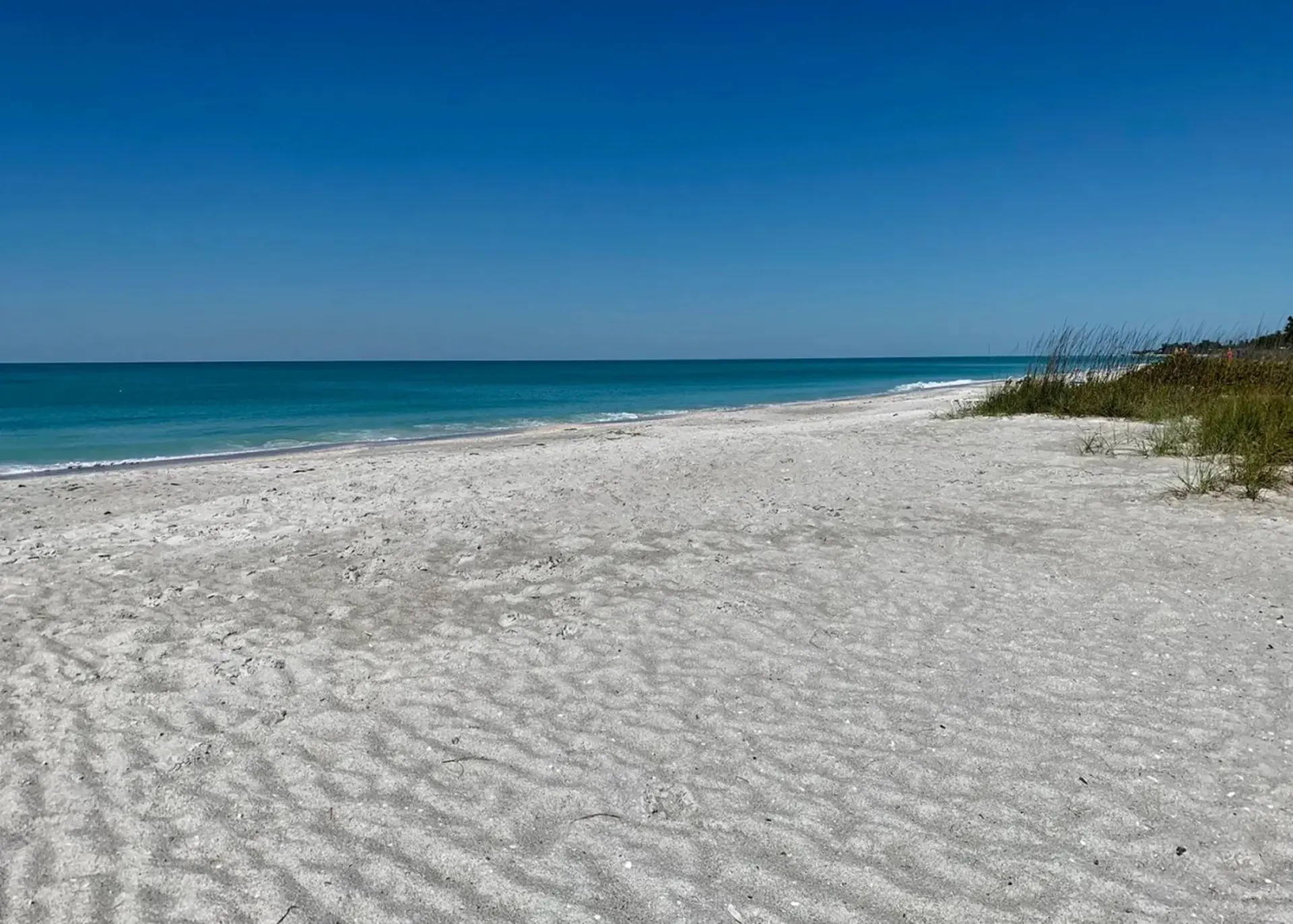 Little Gull Cottage 1BD