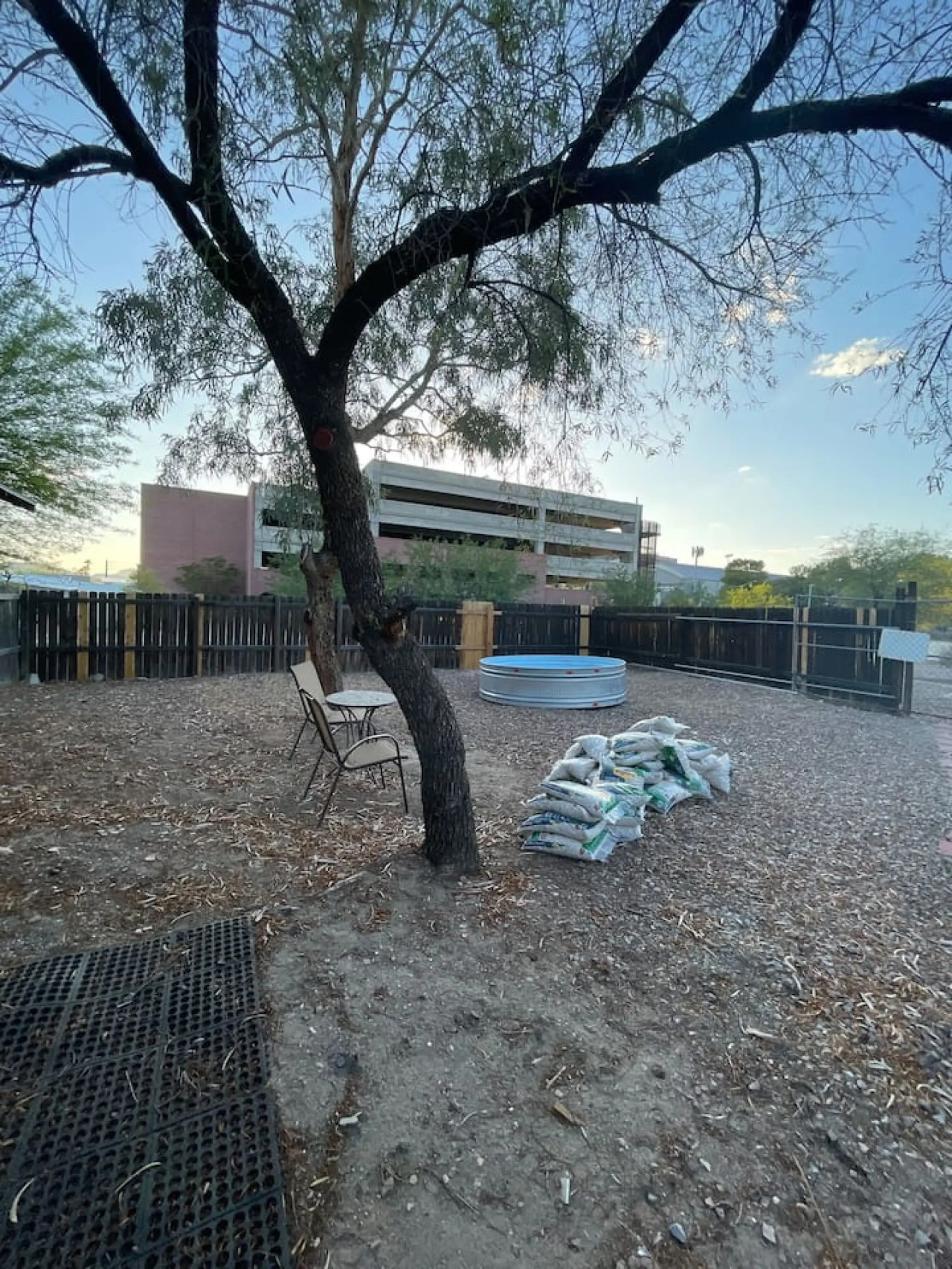 The Desert Nest